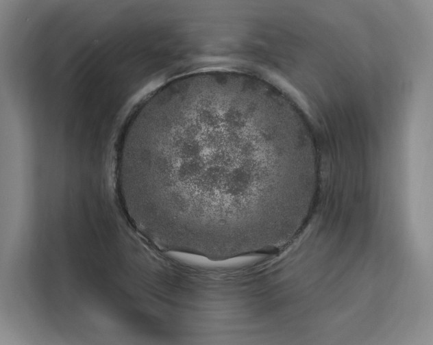 X0000112941411200908311440
