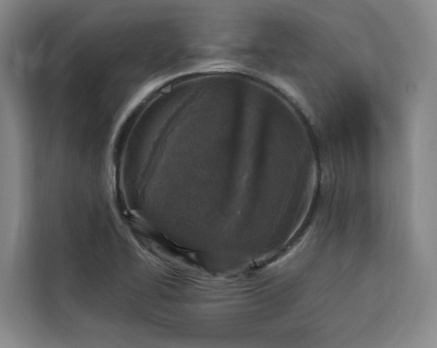 X0000112941414200908311440