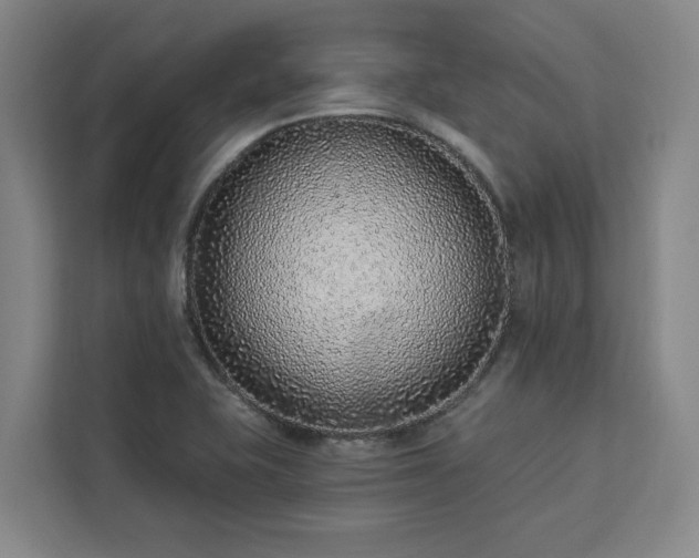 X0000112941415200908311440