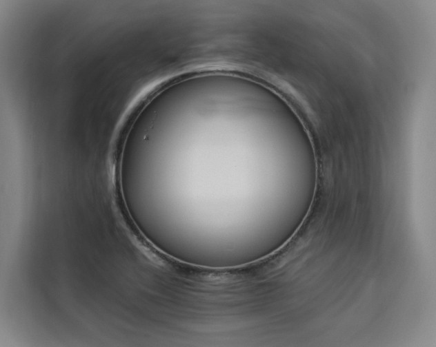 X0000112941416200908311440