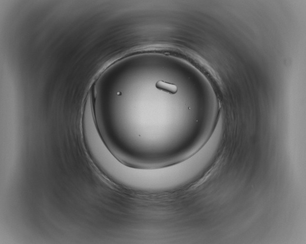 X0000112941417200908311440