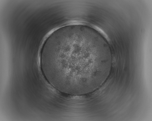X0000112941419200908311440