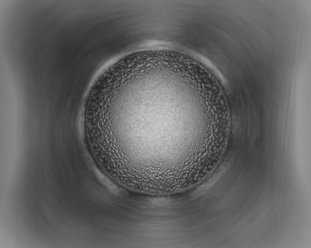 X0000112941421200908311440