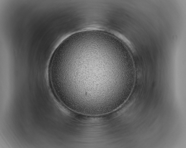X0000112941423200908311440