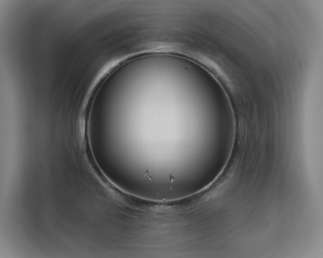 X0000112941424200908311440