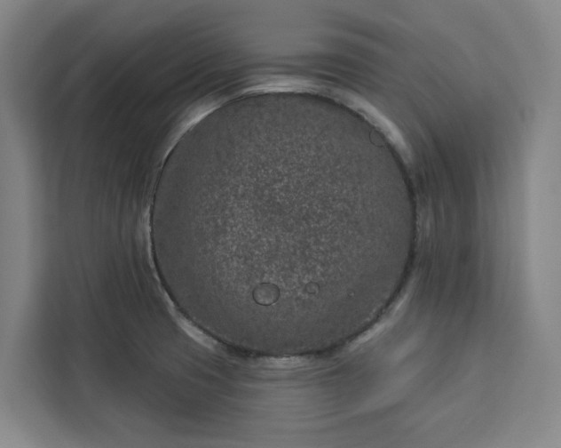 X0000112941425200908311440