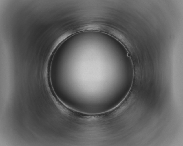 X0000112941426200908311440