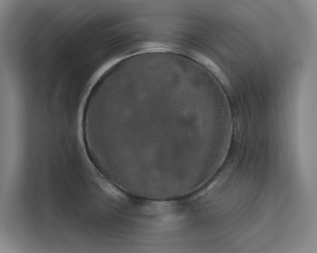 X0000112941427200908311440