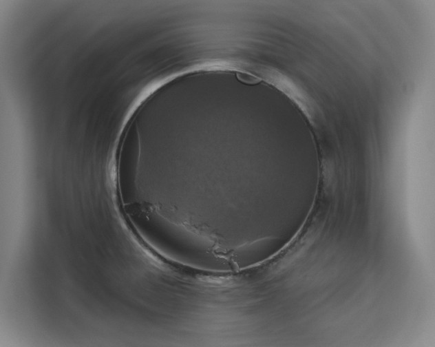 X0000112941428200908311440