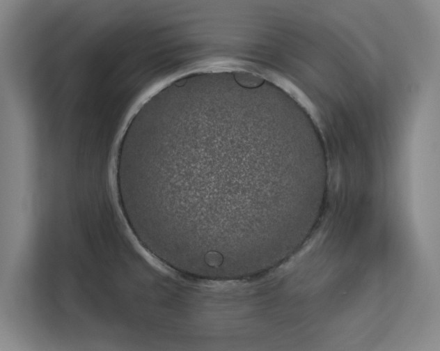 X0000112941429200908311440