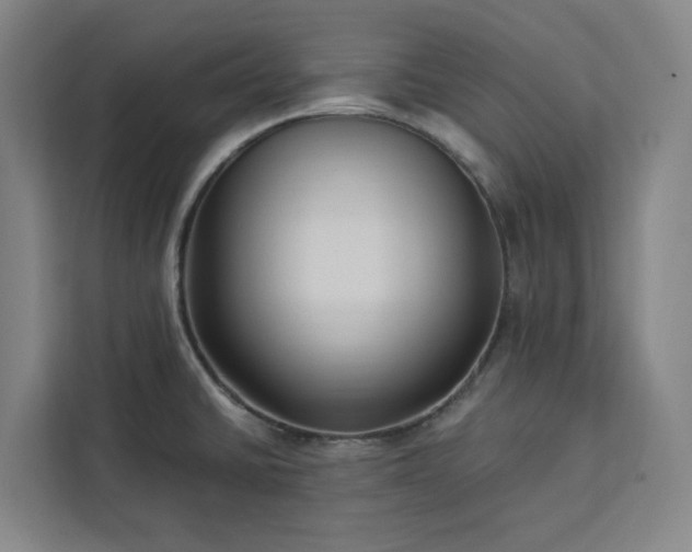 X0000112941430200908311440