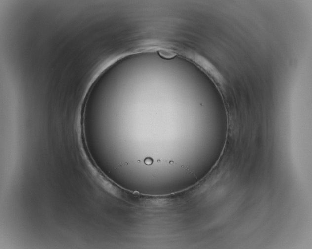 X0000112941431200908311440