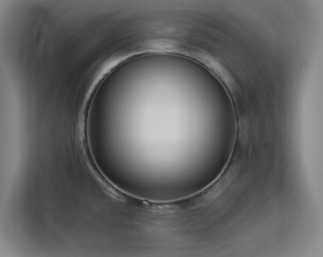 X0000112941432200908311440