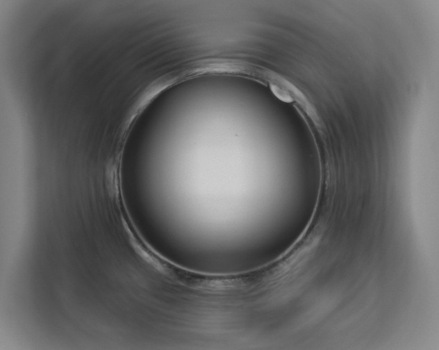 X0000112941433200908311440