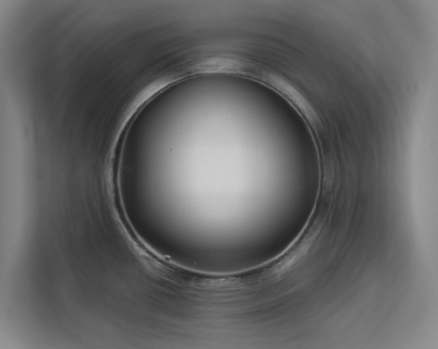 X0000112941434200908311440