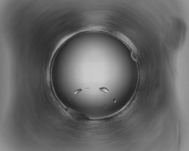 X0000112941436200908311440
