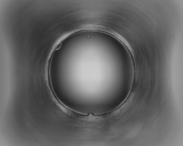 X0000112941437200908311440