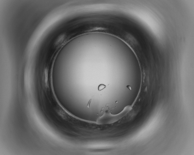 X0000112941439200908311440