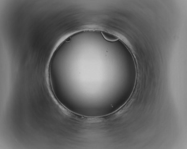 X0000112941440200908311440