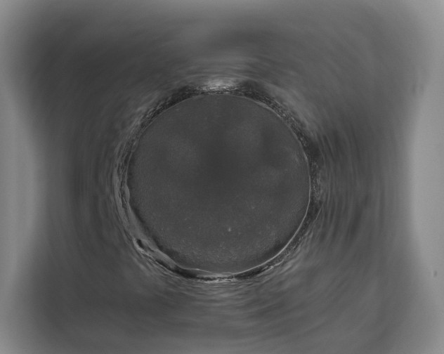 X0000112941441200908311439