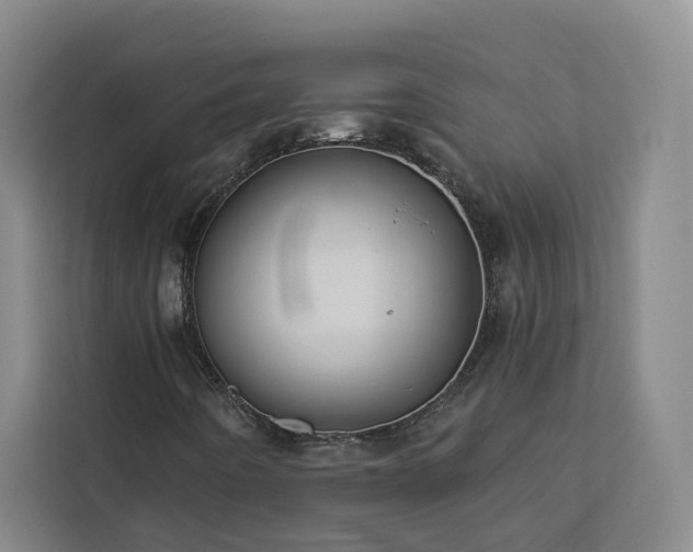 X0000112941442200908311439
