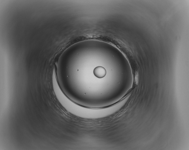 X0000112941444200908311439