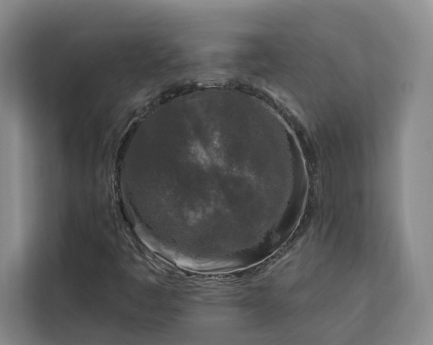 X0000112941445200908311439