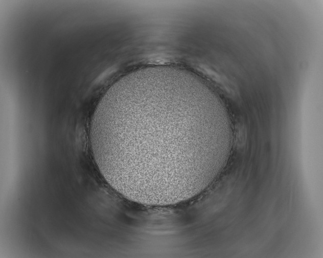 X0000112941446200908311439
