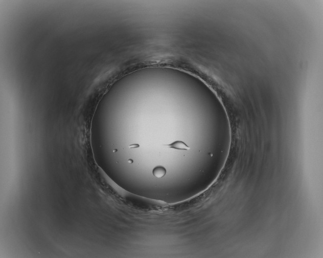 X0000112941447200908311439