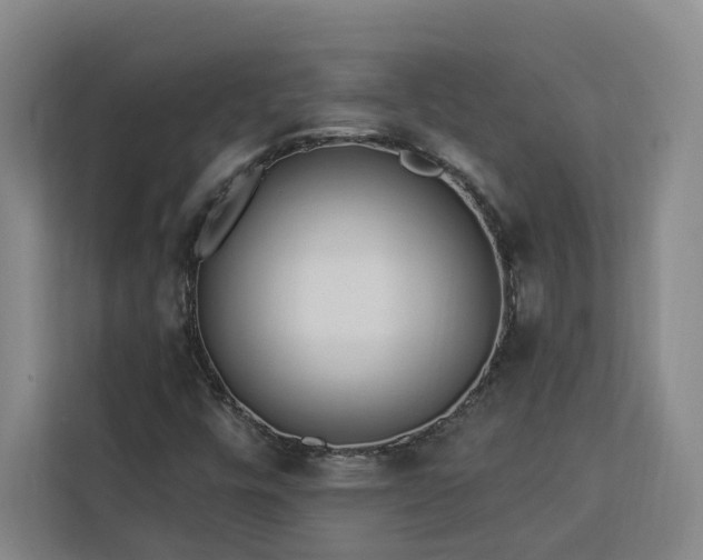 X0000112941448200908311439