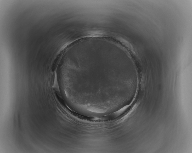 X0000112941449200908311439