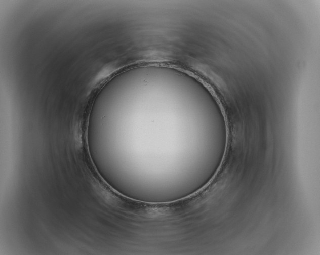 X0000112941451200908311439