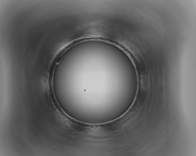 X0000112941452200908311439