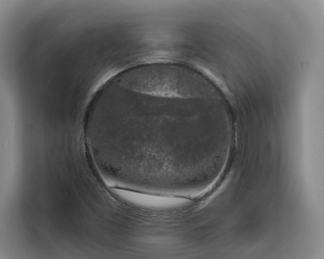 X0000112941453200908311439