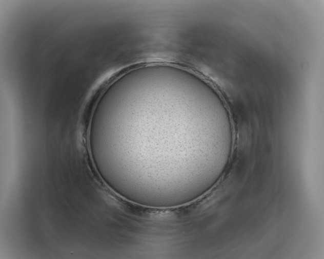 X0000112941454200908311439
