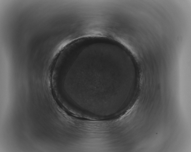 X0000112941455200908311439