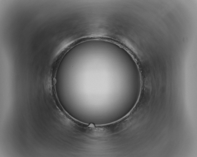X0000112941456200908311439