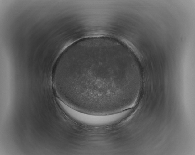 X0000112941457200908311439