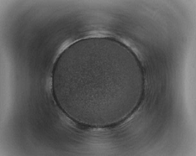 X0000112941459200908311439