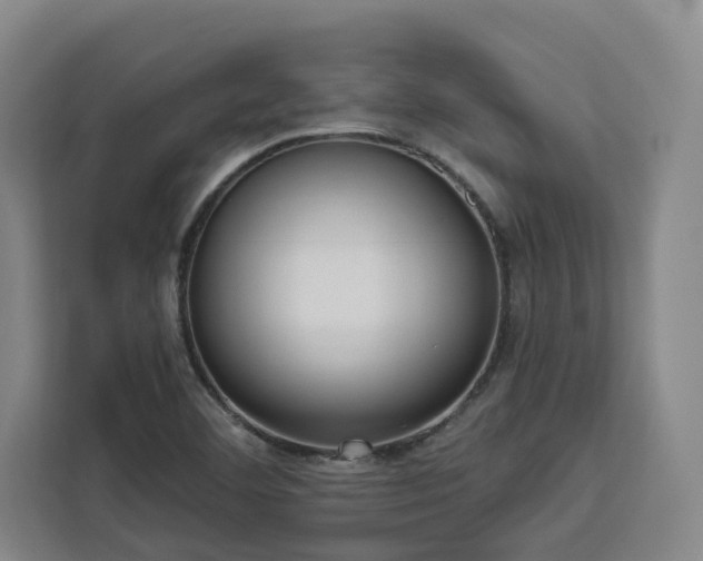 X0000112941460200908311439