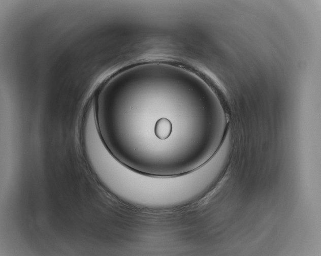 X0000112941461200908311439