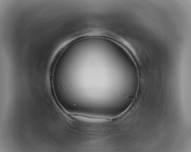 X0000112941464200908311439