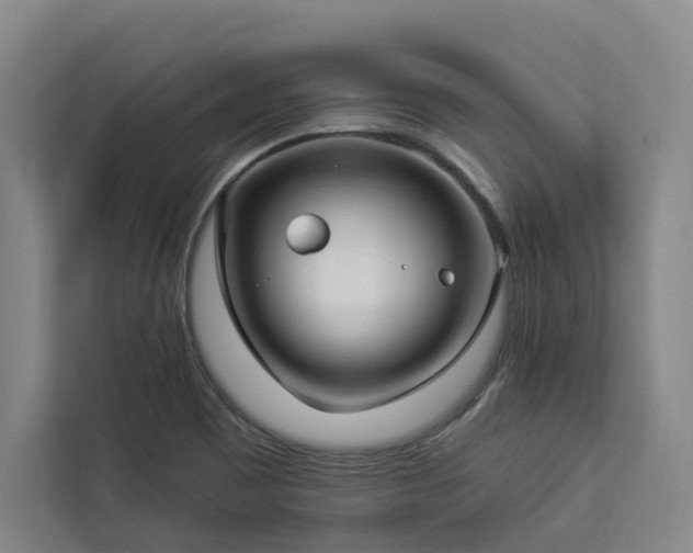 X0000112941465200908311439