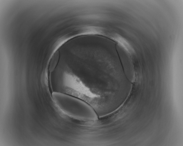 X0000112941468200908311439