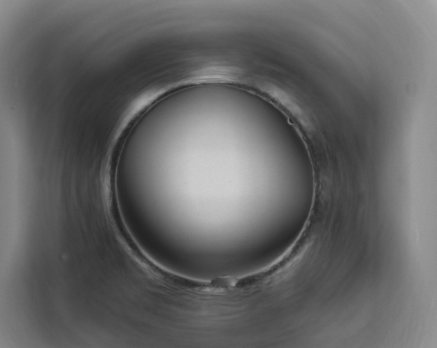 X0000112941469200908311439