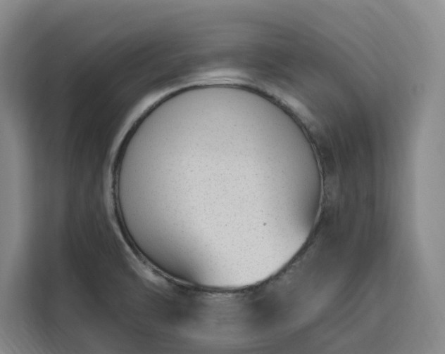 X0000112941470200908311439