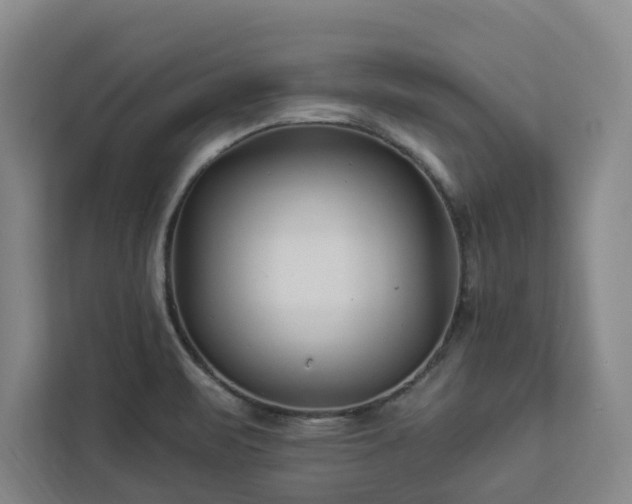 X0000112941471200908311439