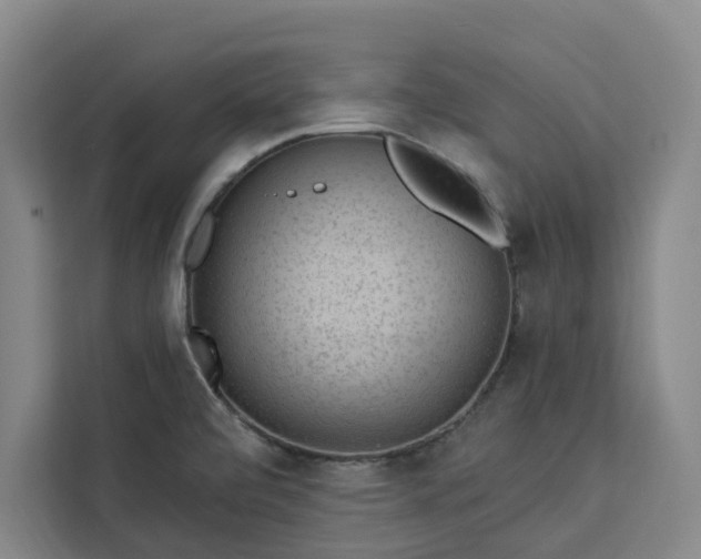 X0000112941472200908311439