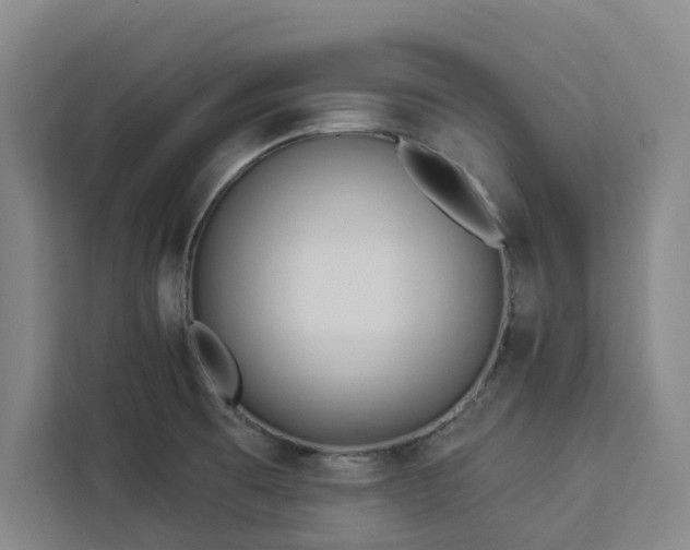 X0000112941473200908311439