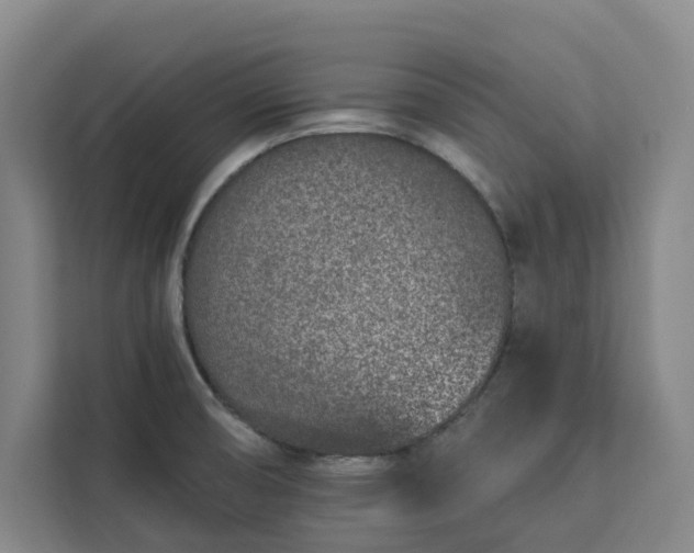 X0000112941474200908311439